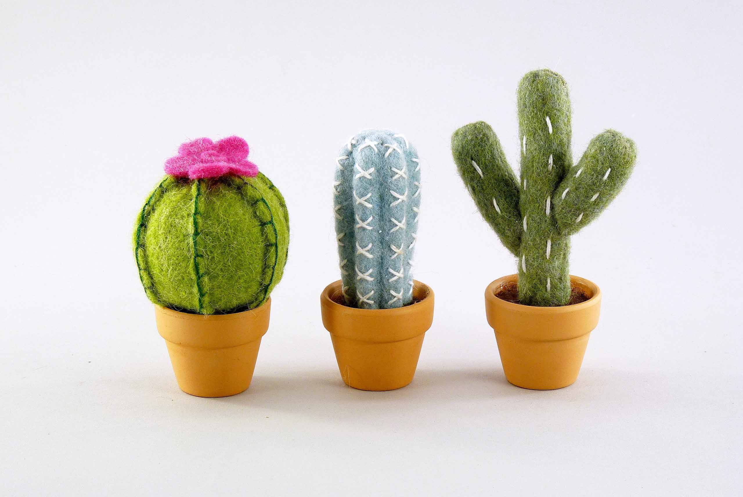 Filz-Kaktus grn-mix sort. /B7-9 H11-14cm | <p>Primavera Estate 2026</p> | Stagione 1 | RESELLERSHOP | lang-kunstgewerbe-it Filz-Kaktus grn-mix sort. /B7-9 H11-14cm | <p>Primavera Estate 2026</p> | Stagione 1 | RESELLERSHOP | lang-kunstgewerbe-it