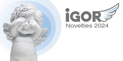 <p>IGOR Novelty 2024</p>